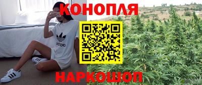 гашик Ирбит